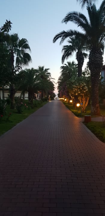 Gartenanlage Ali Bey Club
