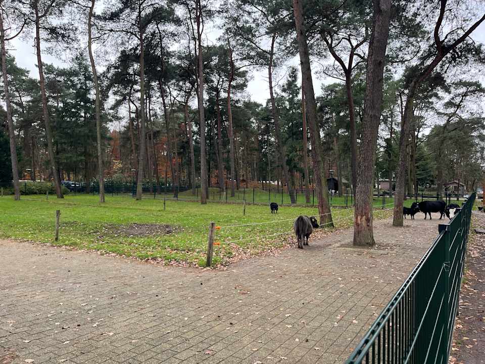 Sport & Freizeit Center Parcs De Kempervennen