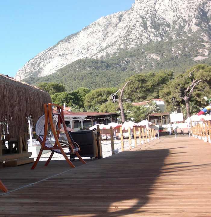 Pier Crystal Flora Pearl Collection