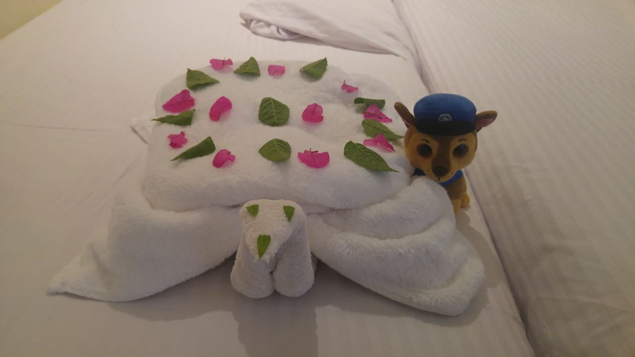 Zimmer Three Corners Sea Beach Resort