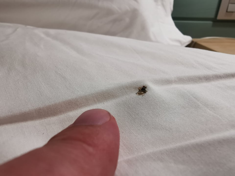 Zimmer Lopesan Costa Bávaro Resort, Spa & Casino