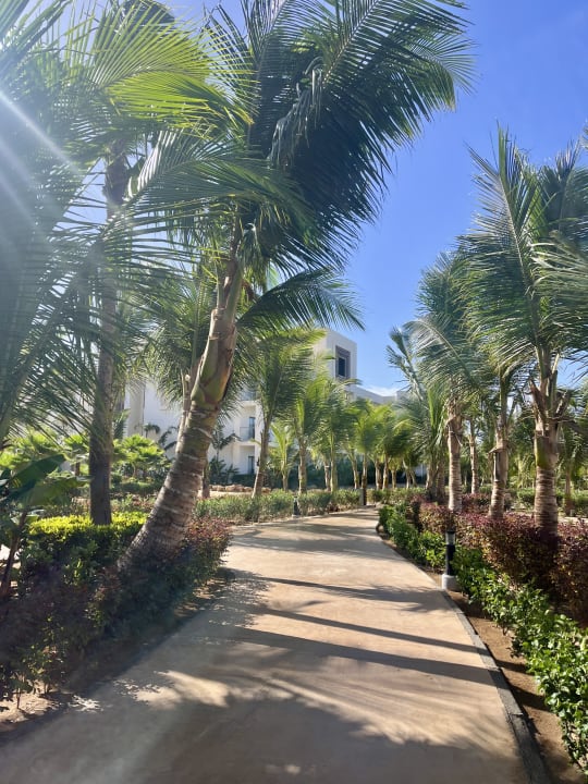 Gartenanlage Hotel Riu Palace Boavista