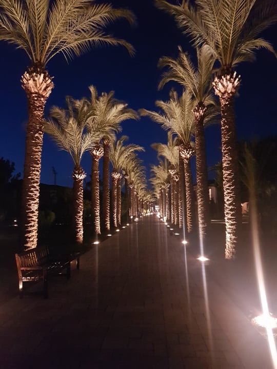 Gartenanlage TUI BLUE Palm Garden