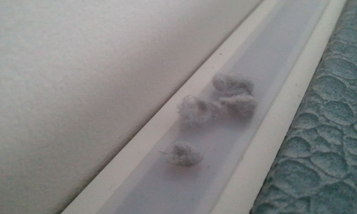 Zimmer Hotel Höri am Bodensee