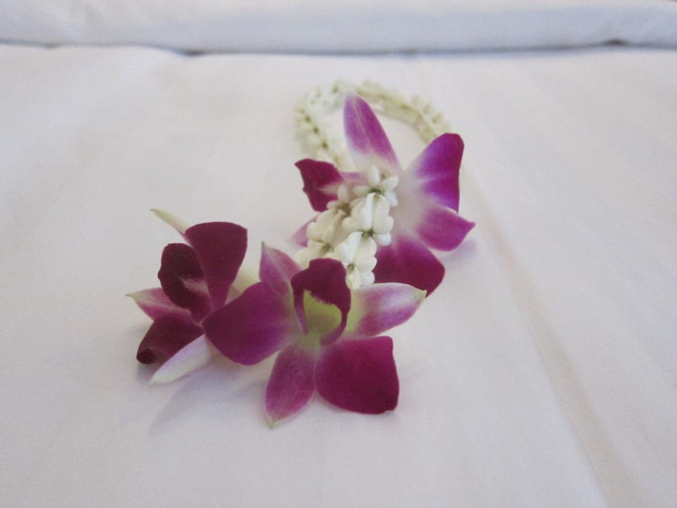 Орхидеи Le Meridien Phuket Beach Resort