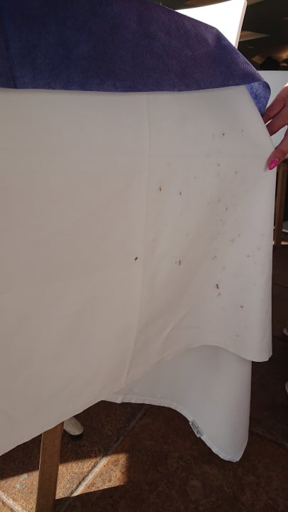 Gastro Club Esse Roccaruja