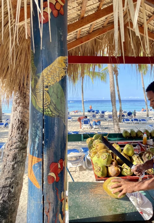 Gastro Hotel Viva Dominicus Palace by Wyndham-All Inclusive Resort