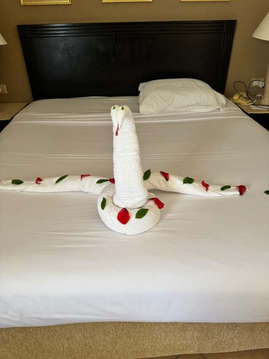 Zimmer Steigenberger Coraya Beach - Adults only