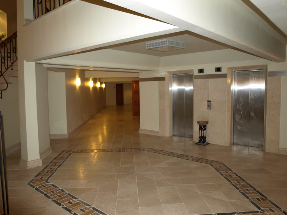 Flur PALOMA Perissia