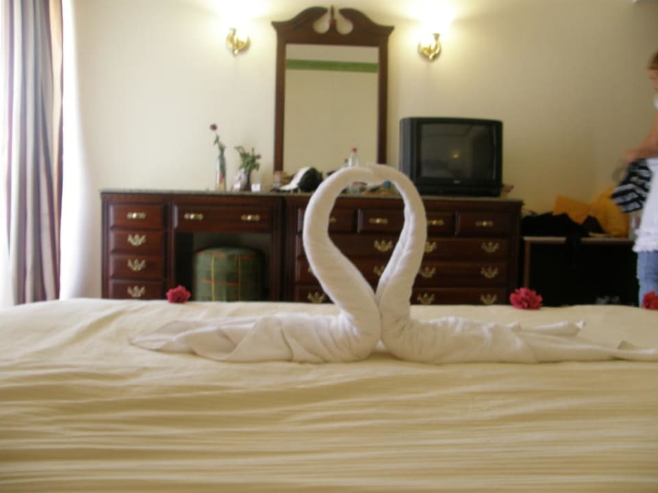 Liebevol gemachte Schwäne aus Handtüchern Ali Baba Palace Hotel