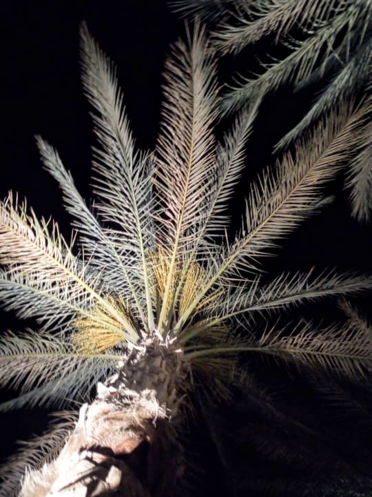 Sonstiges Novotel Marsa Alam Beach Resort