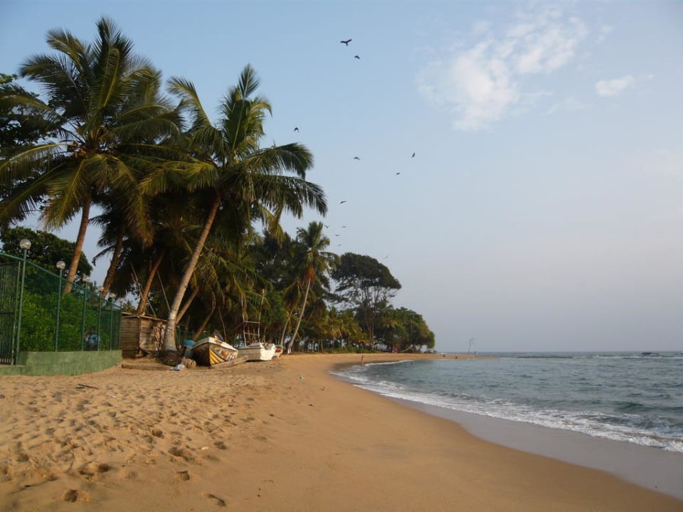 Blick nach links Earl’s Reef Beruwala