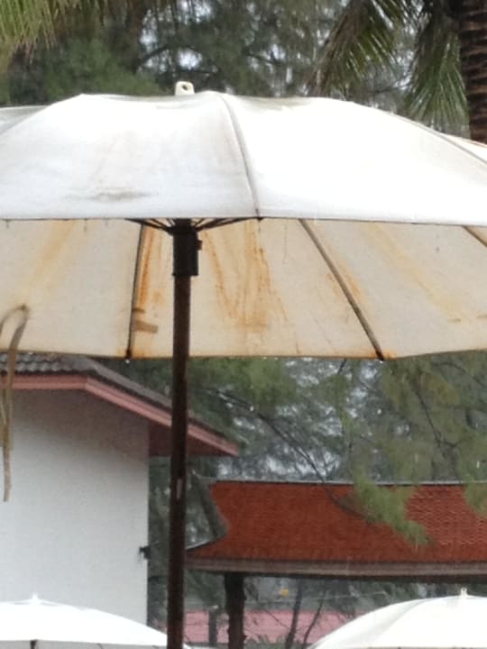 Auch er ist schon etwas älter Sunprime Kamala Beach