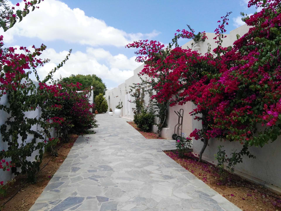 Sonstiges Knossos Beach Bungalows Suites Resort & Spa