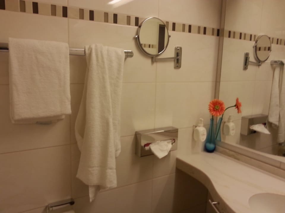 Kosmetikspiegel und Föhn vorhanden Hotel Panorama Hamburg-Billstedt