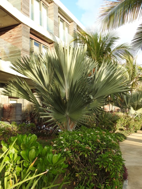 Gartenanlage Radisson Blu Poste Lafayette Resort & Spa - Adults only