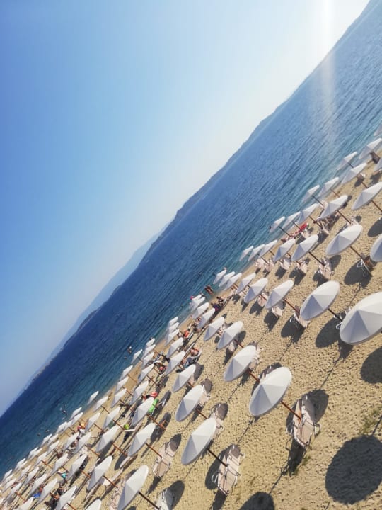 Strand Akrathos Beach Hotel