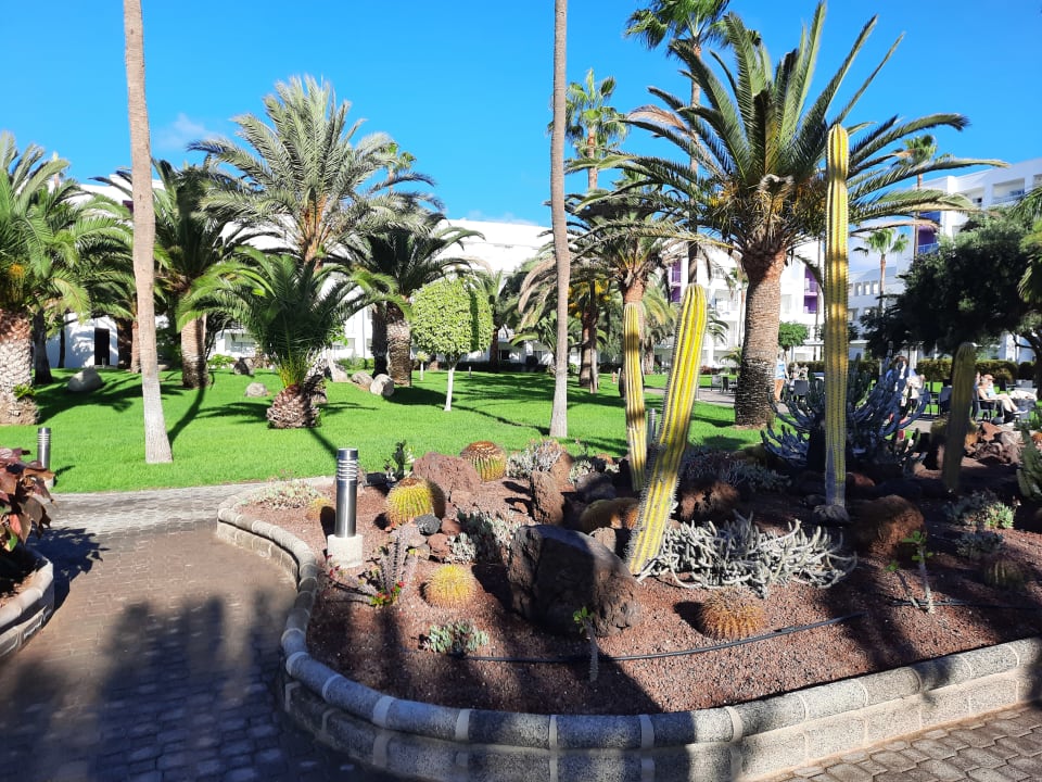 Gartenanlage Hotel Riu Gran Canaria
