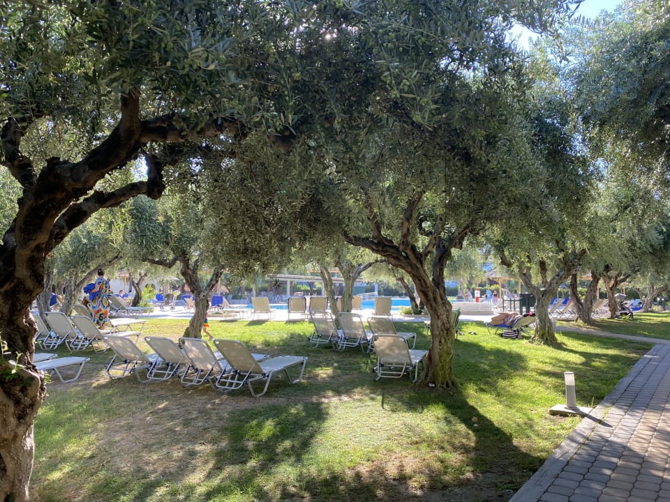 Pool TUI KIDS CLUB Alex Beach