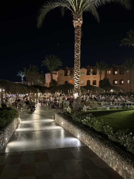 Sport & Freizeit Jaz Makadi Oasis Resort