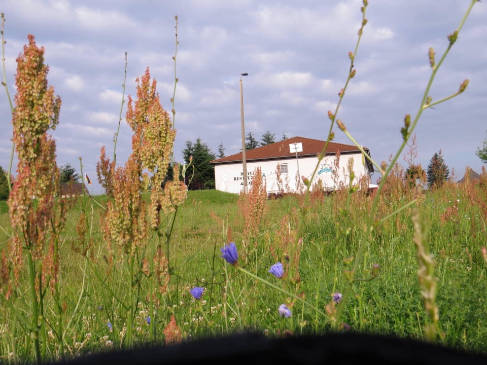 Von der Oder aus Hotel Zur Fährbuhne