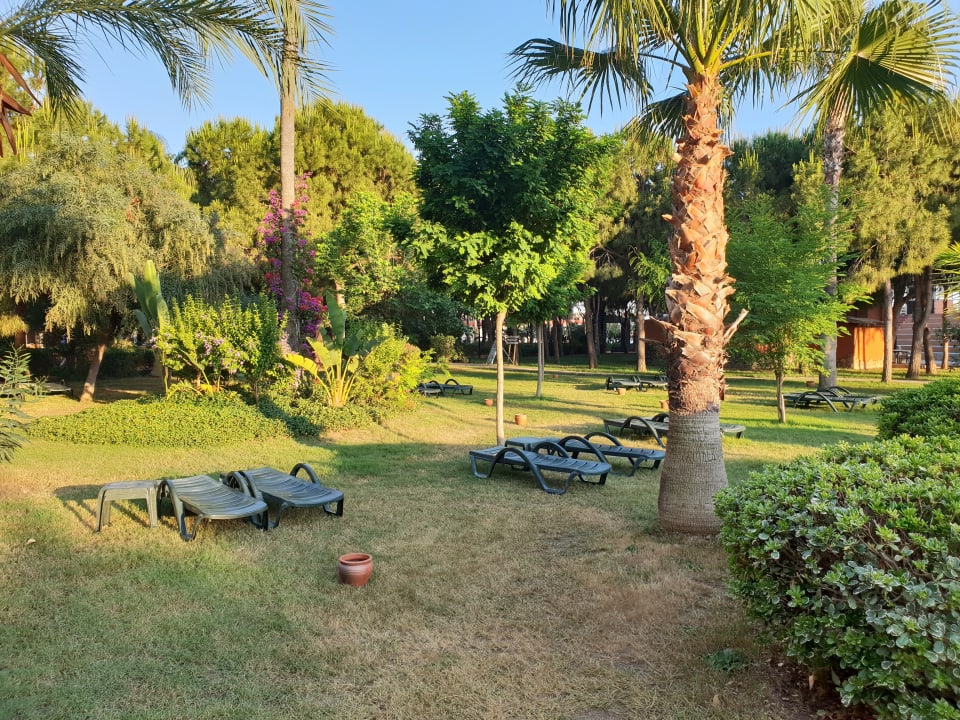 Mehr Grün geht nicht. Club Turtas Beach Hotel