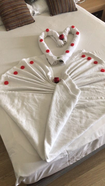 Zimmer Telatiye Resort