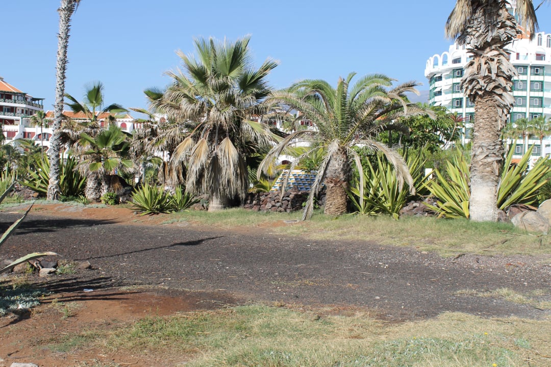 Gartenanlage Strasse Park Santiago Parque Santiago IV Official