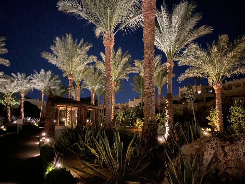 Gartenanlage Reef Oasis Beach Resort