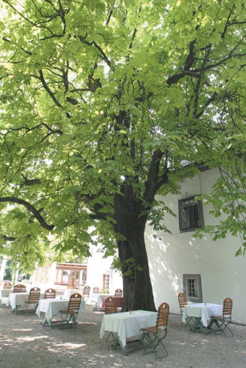 Gastgarten Hotel Agathawirt