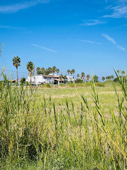 Ausblick Hotel Tigaki's Star