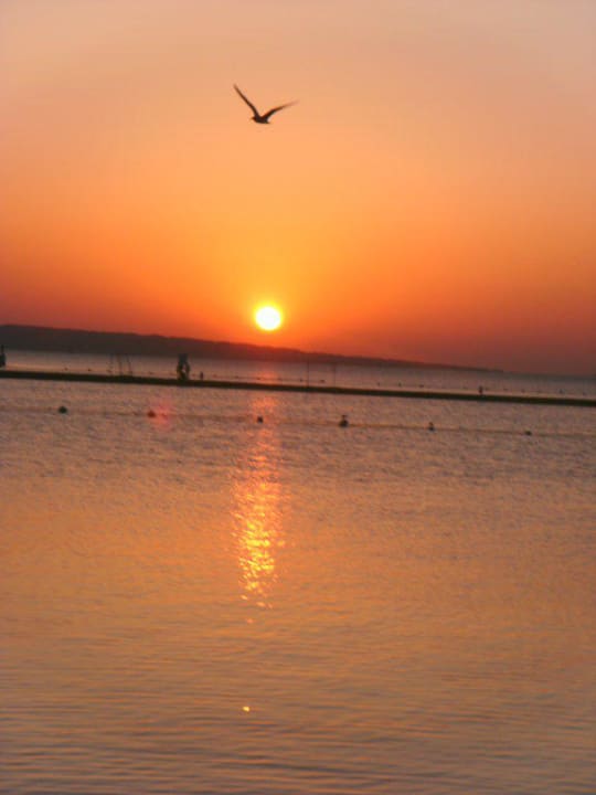 Sonnenaufgang Giftun Azur Resort