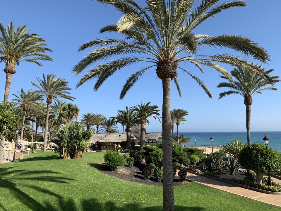 Garten SBH Costa Calma Beach Resort