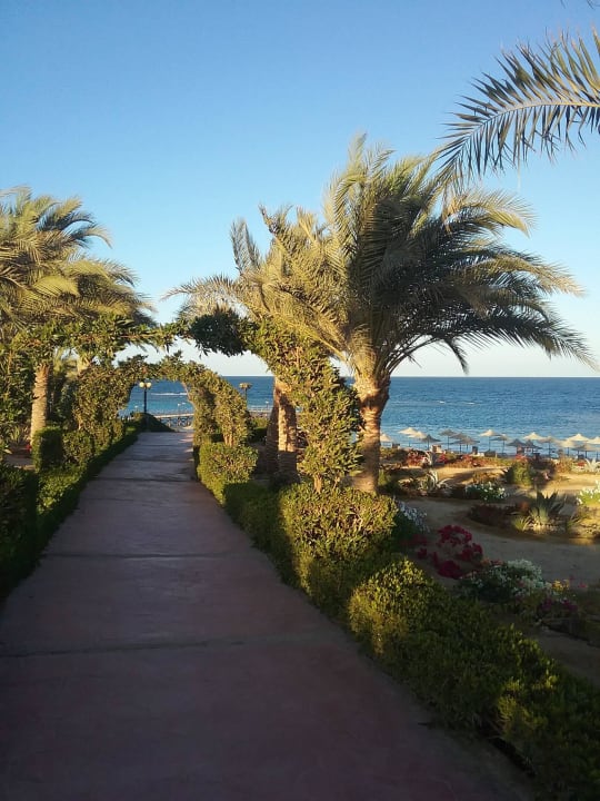 Sehr gepflegt  Fantazia Resort Marsa Alam