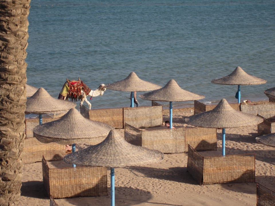 Strandblick von der Terrasse Zimmer 240 Imperial Shams Abu Soma