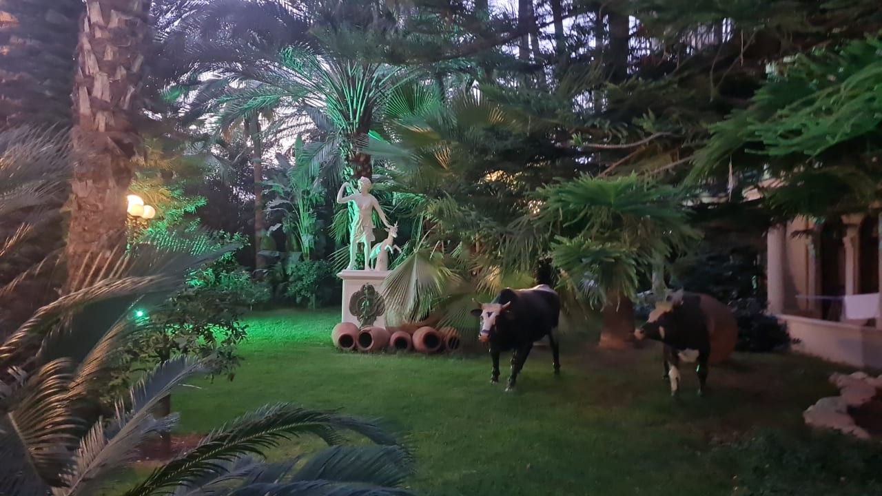 Gartenanlage Hotel Yetkin