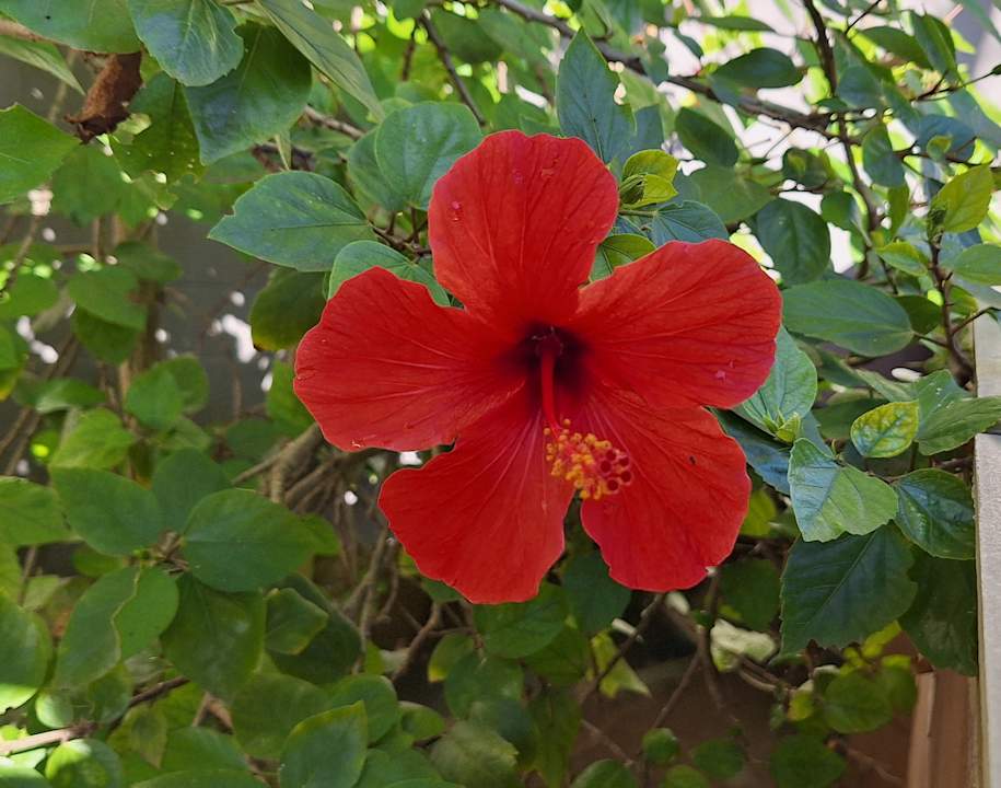 Außenansicht BG Hotel Caballero