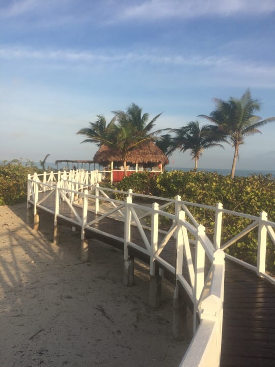 Weg zum Strand Melia Las Dunas