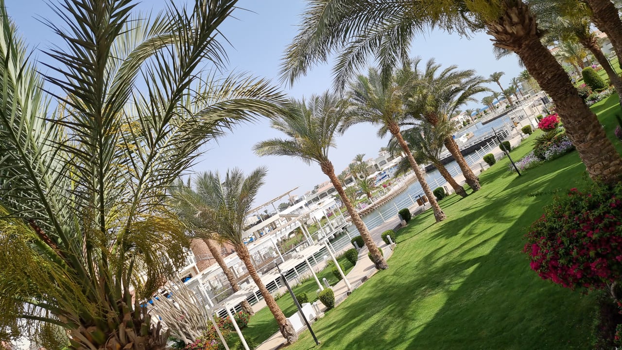 Ausblick Pickalbatros Dana Beach Resort - Hurghada