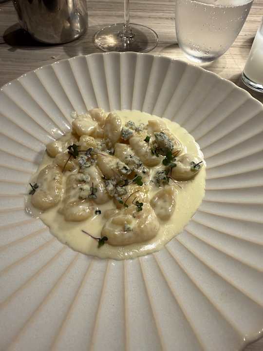 Gastro Acanthus Cennet Barut Collection