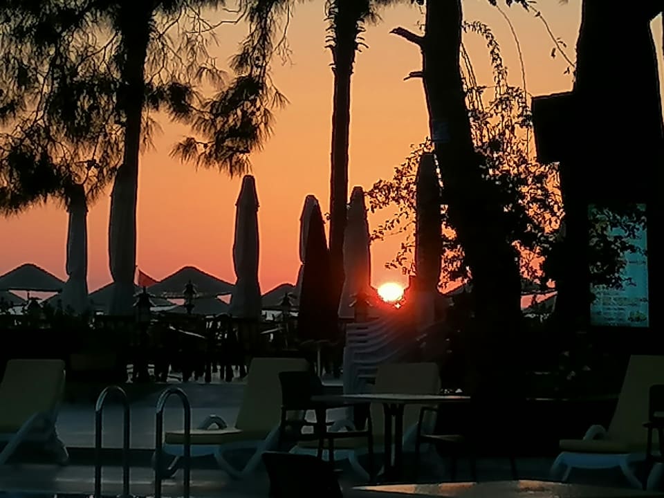 Gastro Club Boran Mare Beach