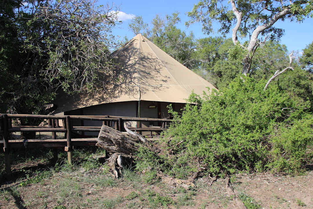 Zelt von aussen  Hamiltons Tented Camp - Lodge