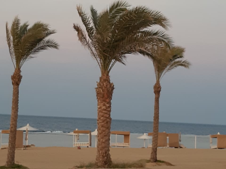 Strand Pickalbatros Sea World Resort - Marsa Alam