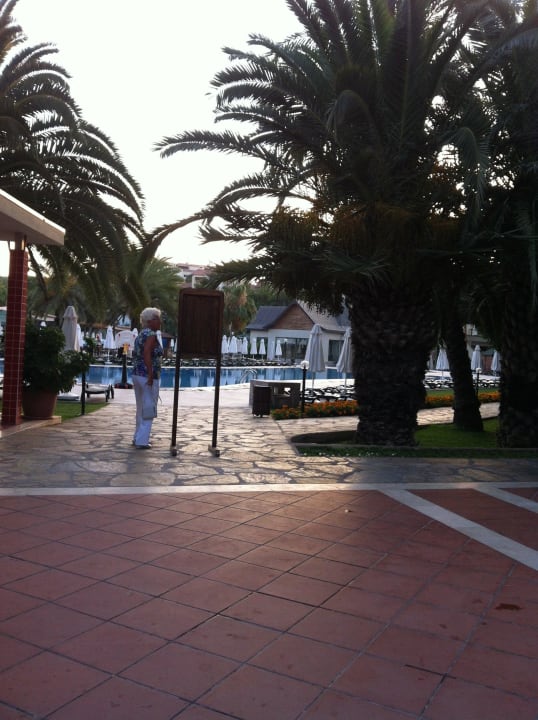 Pool Arum Barut Collection