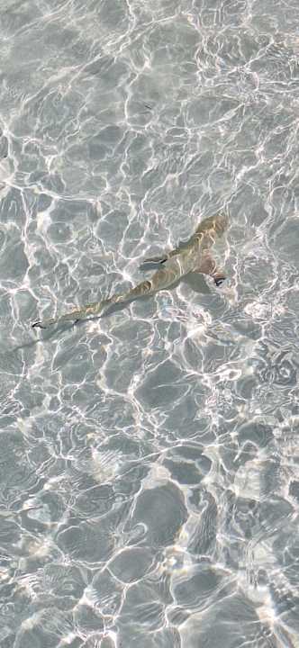 Strand Adaaran Select Meedhupparu Island Resort - Premium All Inclusive