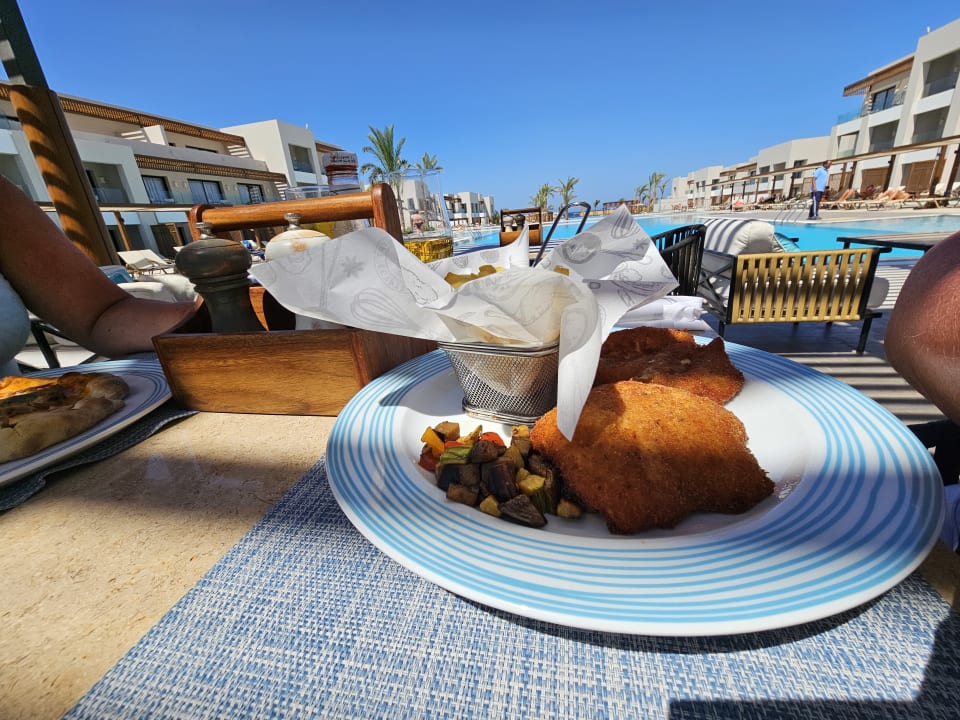 Gastro JAZ Elite Amara