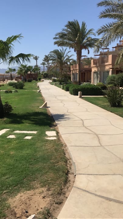 Gartenanlage Shams Prestige Abu Soma-Adults Only