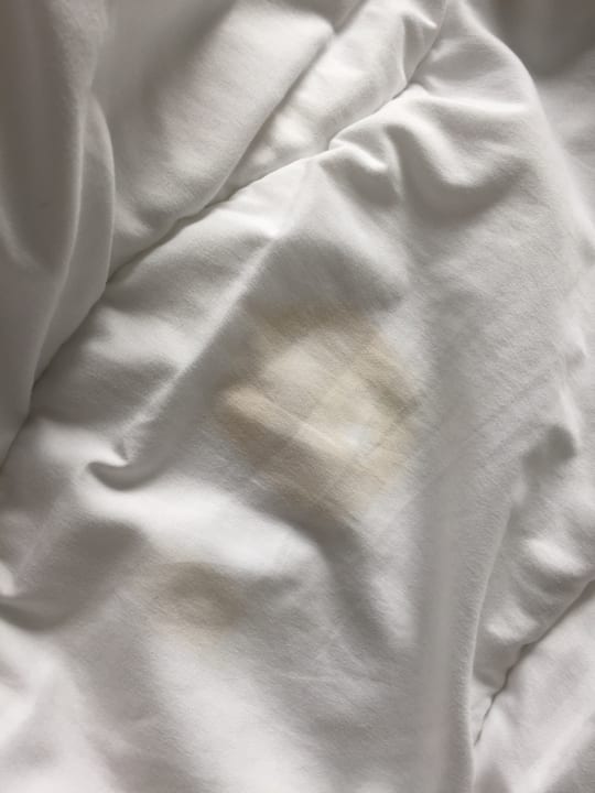 Zimmer Fletcher Hotel-Restaurant Wings-Rotterdam