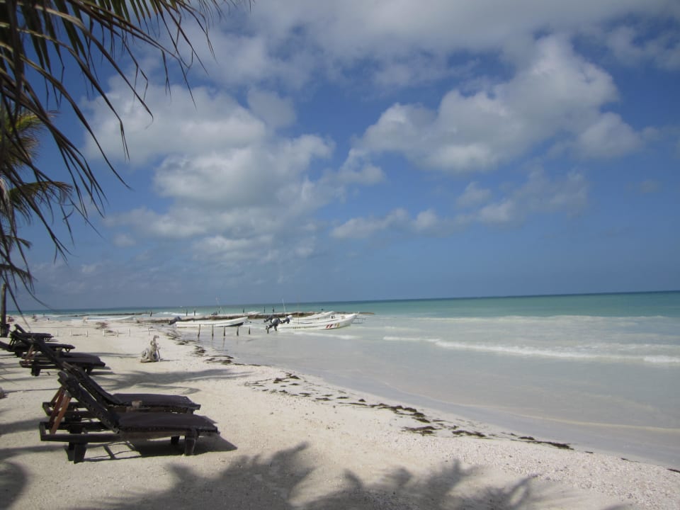 Perfekter Sandstrand Beachfront Hotel La Palapa - Adults only