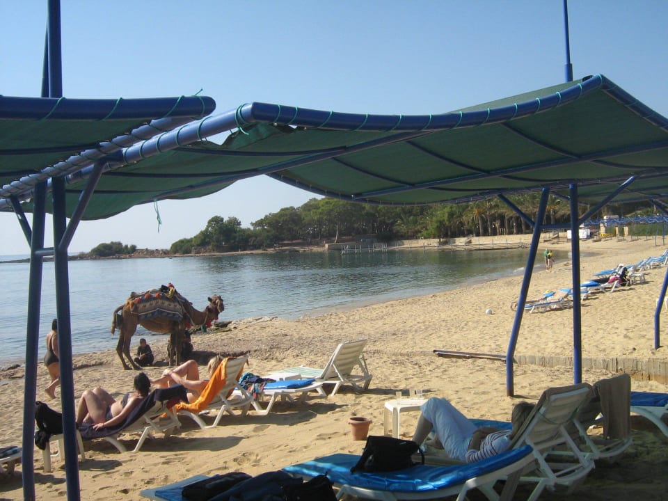 Tolle Beschattungsanlage... Özkaymak Select Resort Hotel